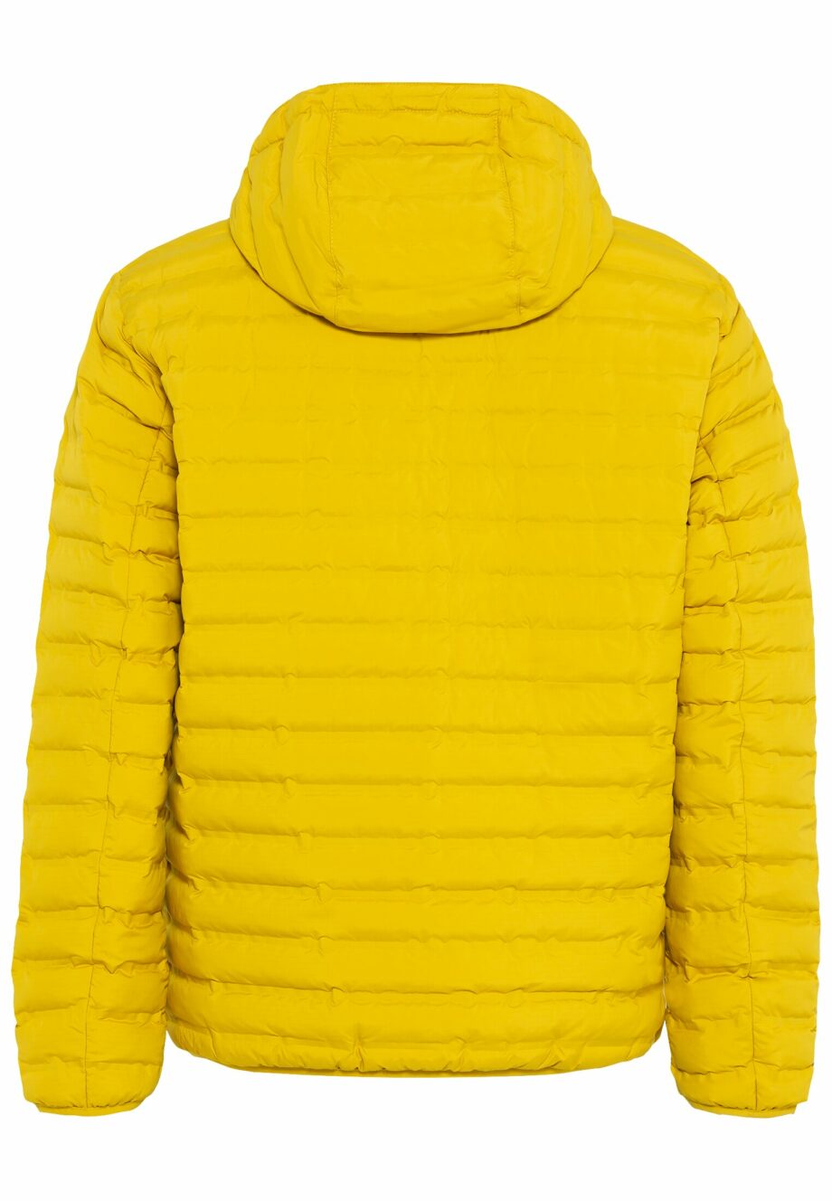 Camel Herren Jacke